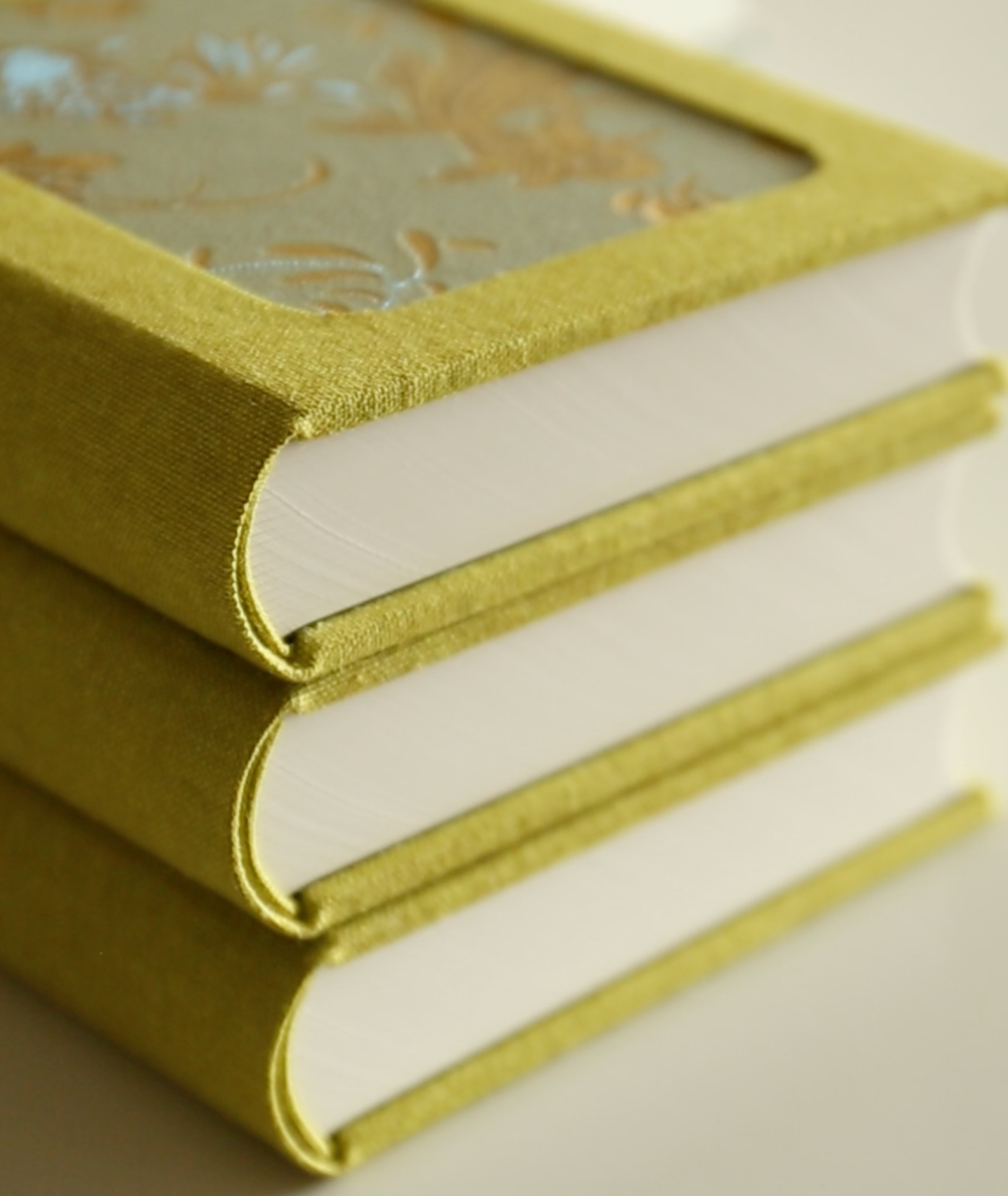 Rounded Spine A6 Journal (Golden Fish)