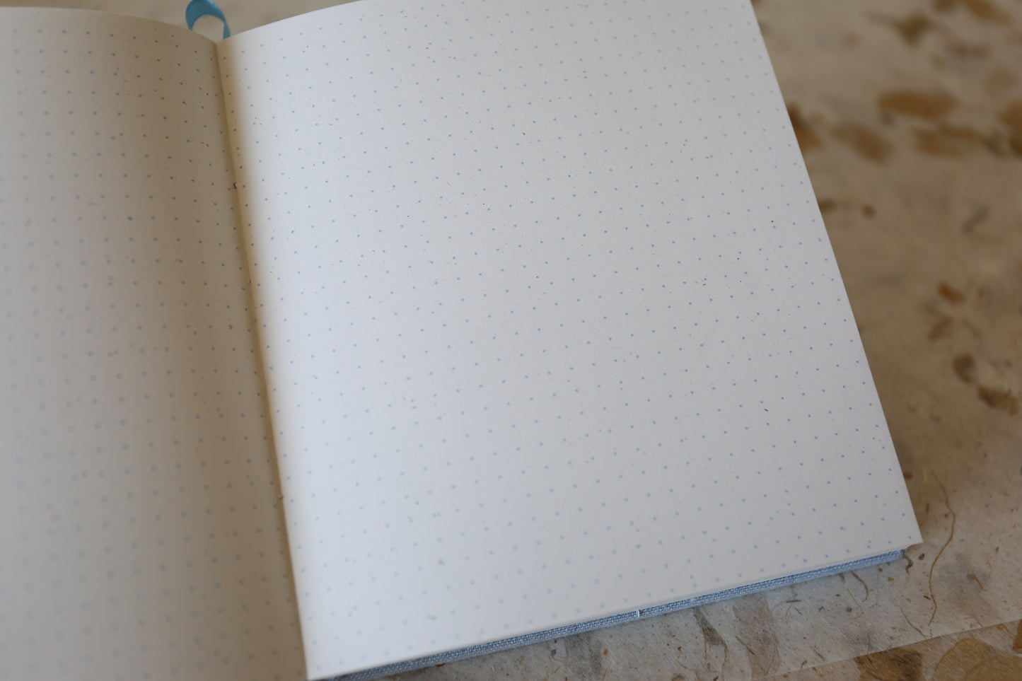 Blue Dot Matrix Journal Books