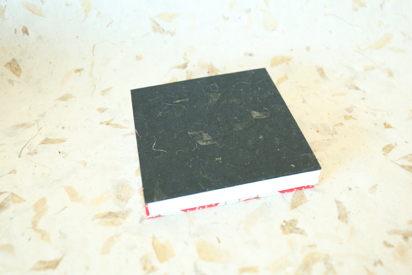 Hardcover Square Sketchbooks (mushroom)