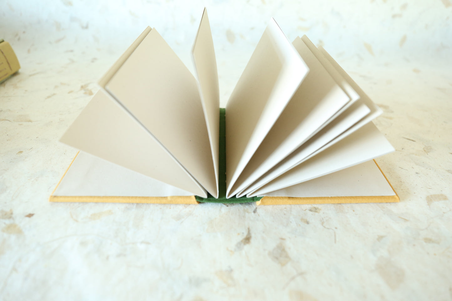 Song Brocade photo album (Golden Fish)