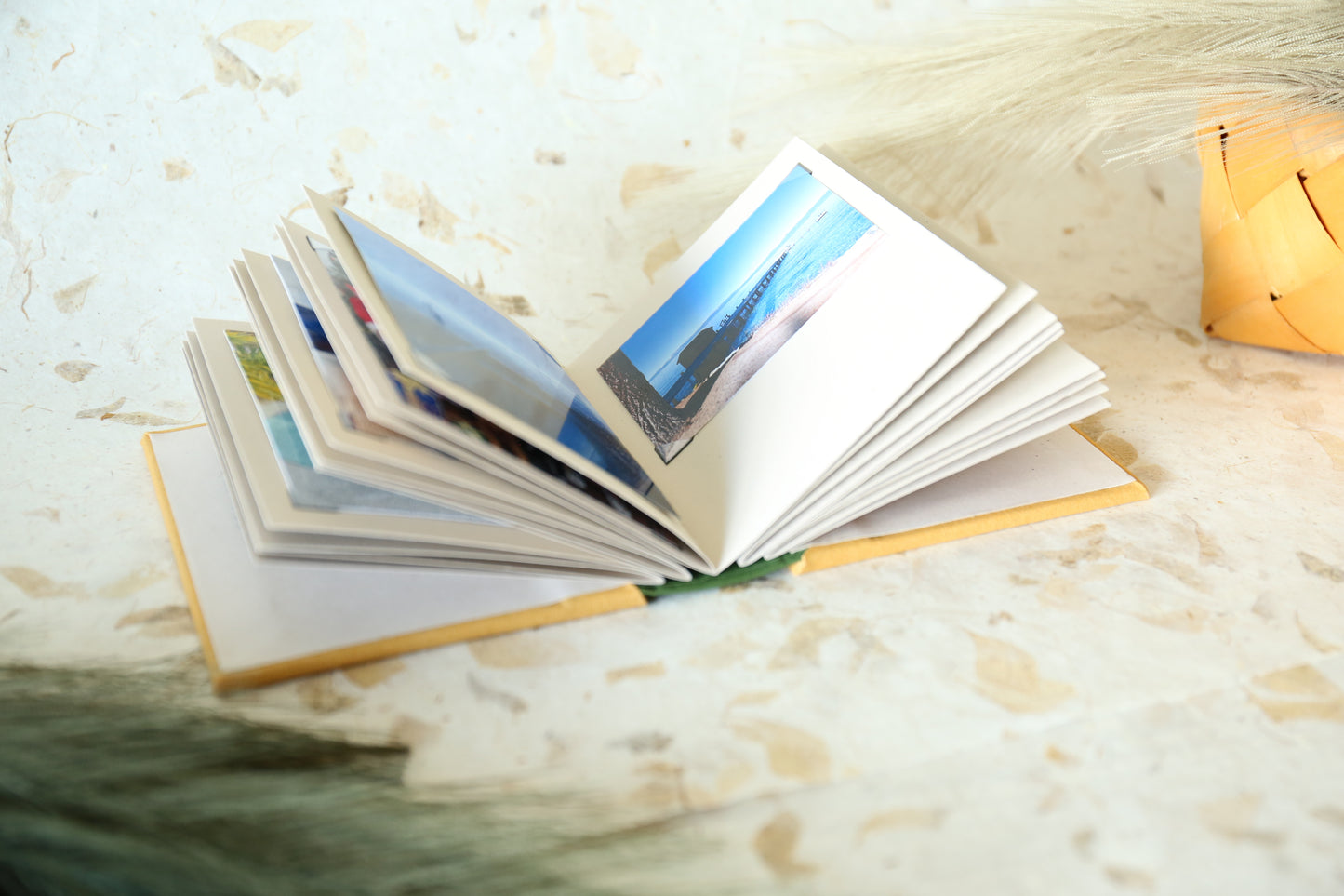 Song Brocade photo album (Golden Fish)