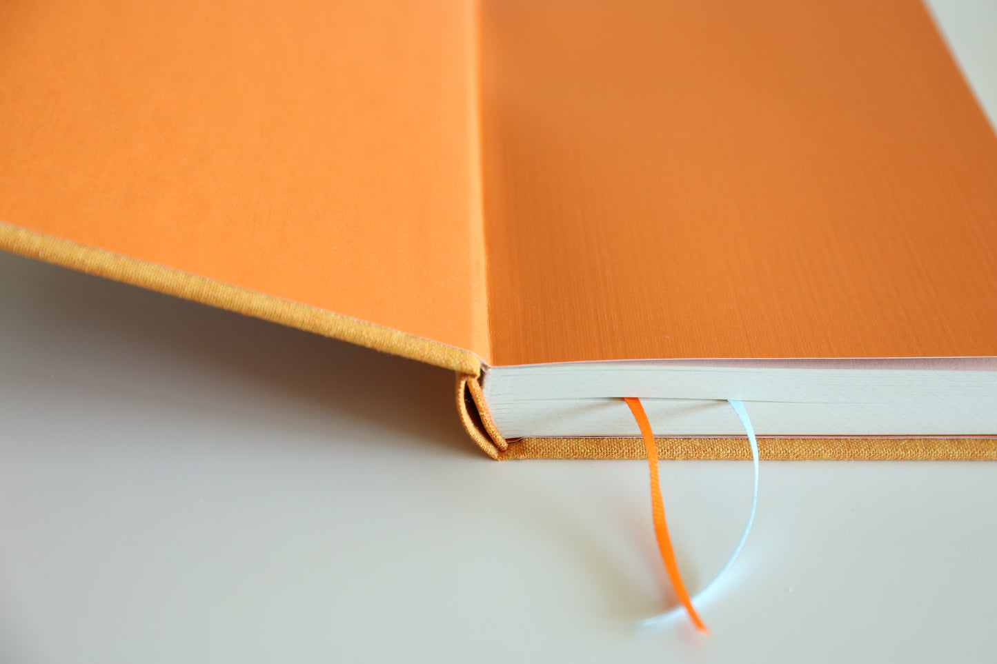 Rounded Spine Dot Grid Journal（Jade Rabbit）